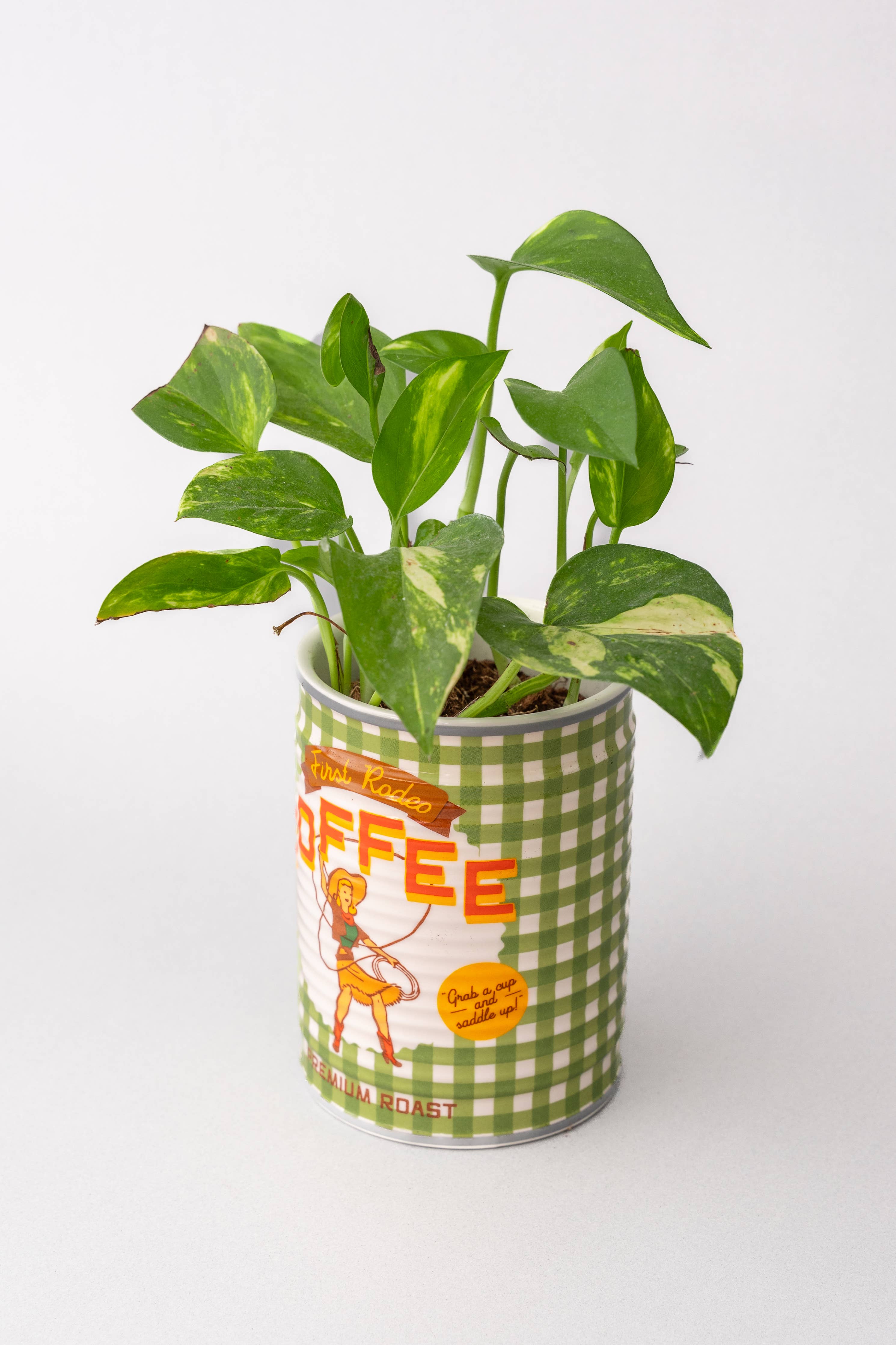 Ceramic Planter, Coffee Can