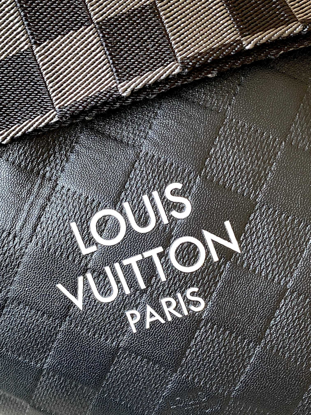 LV Travel Bag