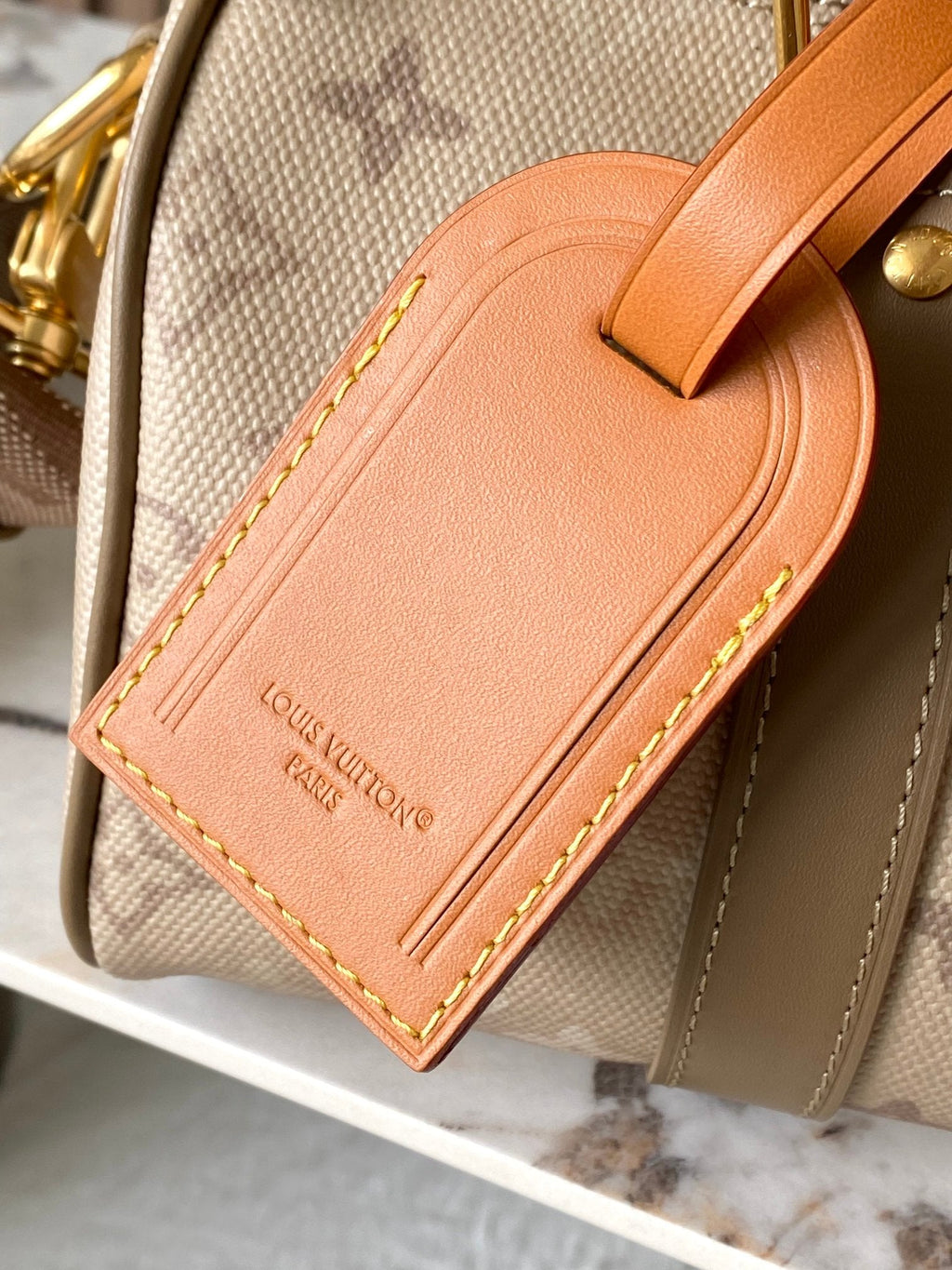 LV Handbag 25