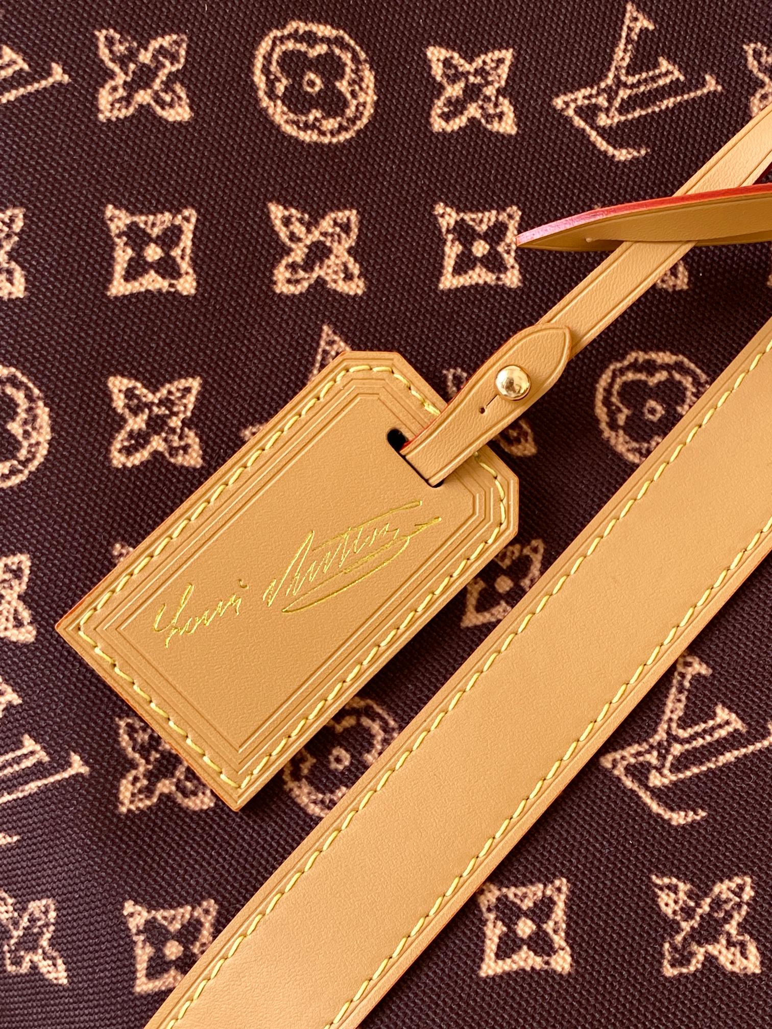 LV Travel Bag